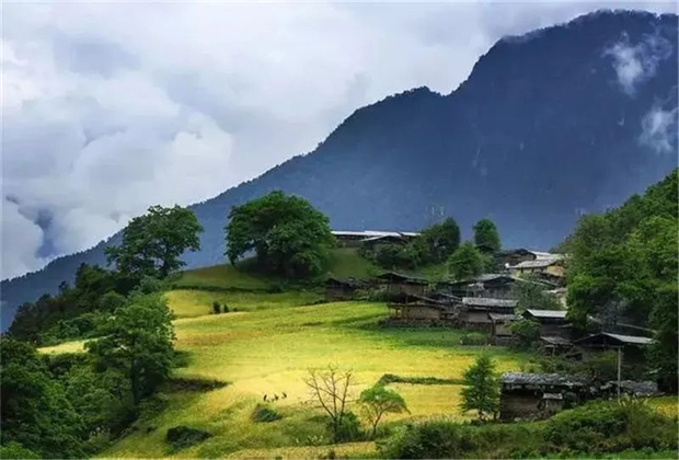 怒江會(huì)議旅游：一路向北，沿江尋大美怒江